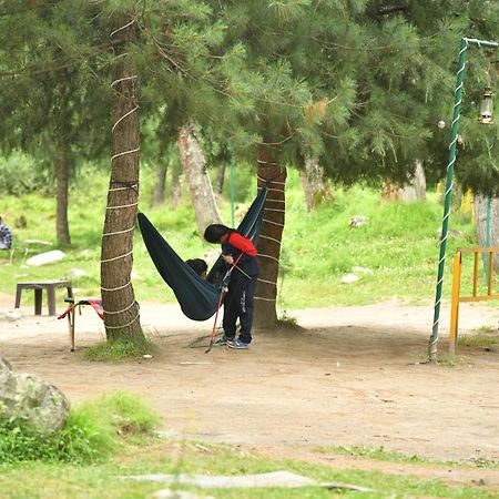 Himtrek Riverside Camps, Kasol Dış mekan fotoğraf