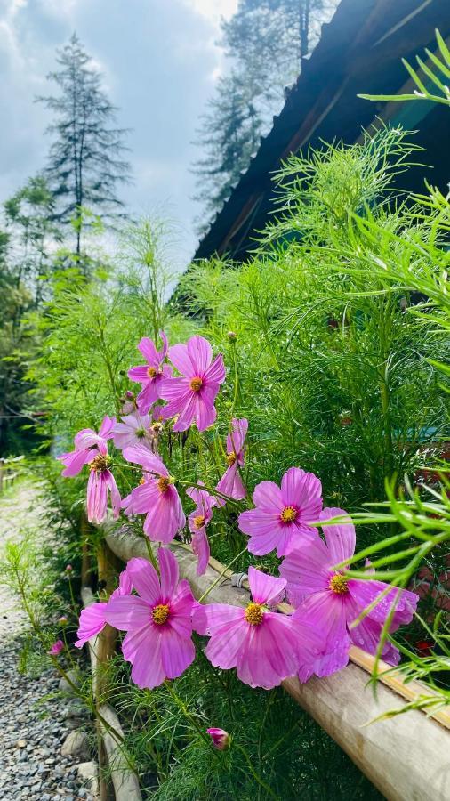 Himtrek Riverside Camps, Kasol Dış mekan fotoğraf