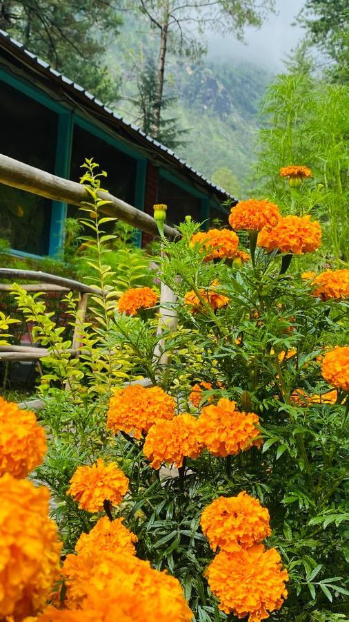 Himtrek Riverside Camps, Kasol Dış mekan fotoğraf