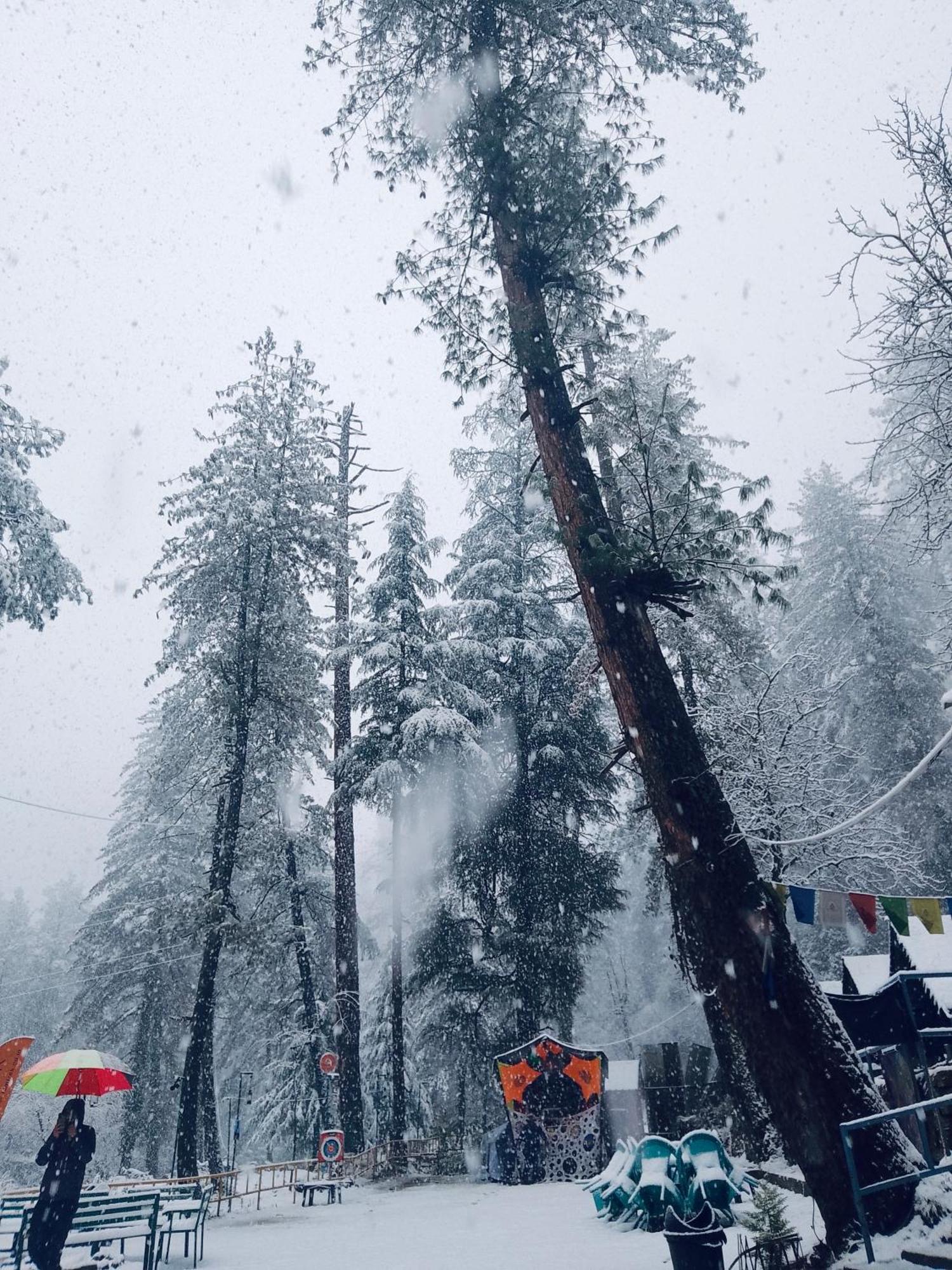 Himtrek Riverside Camps, Kasol Dış mekan fotoğraf